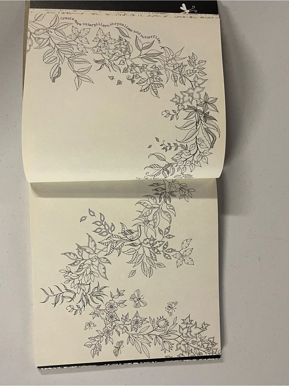 Secret Garden Adult Coloring Book - Cream with Gold Accents